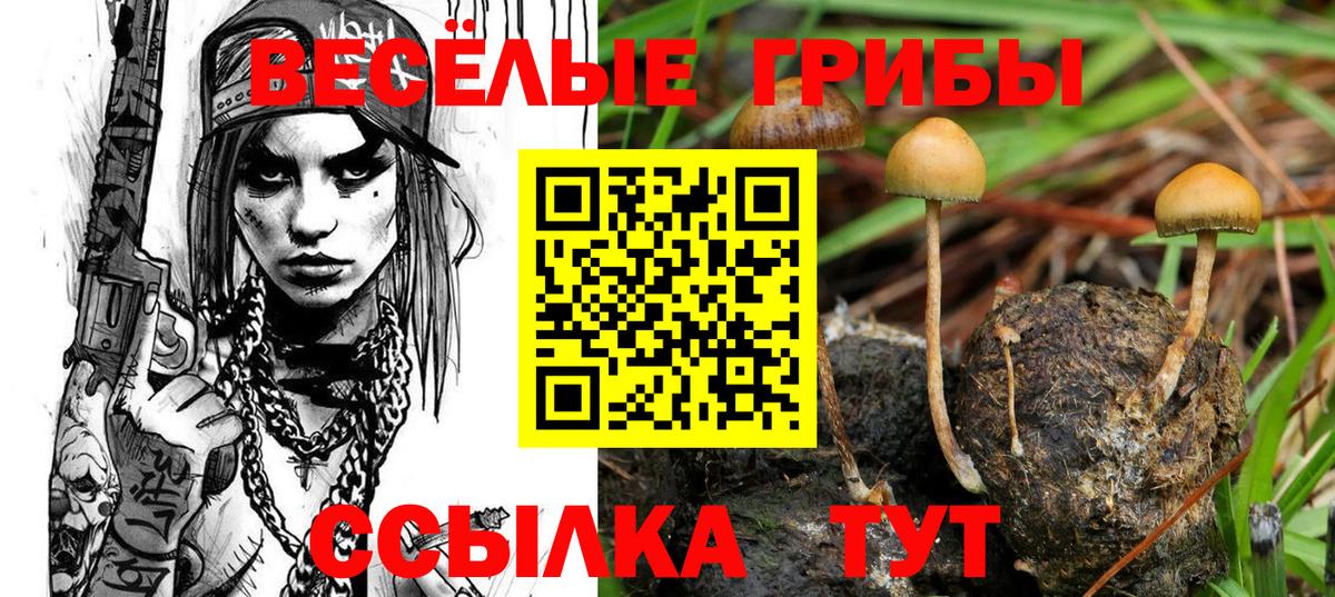 Галлюциногенные грибы Psilocybine cubensis  Псилоцибиновые грибы GOLDEN TEACHER  как найти закладки  Вход с VPN  Сыктывкар 